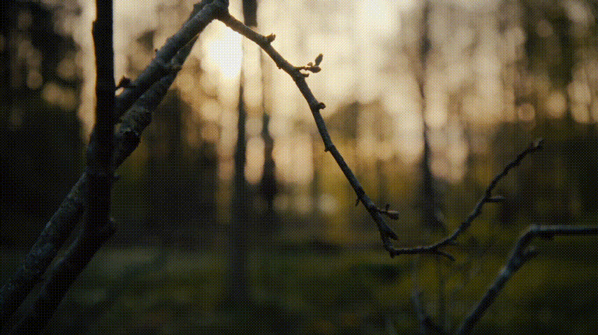 低呼吸 00_00_00-00_00_30 [480p].gif